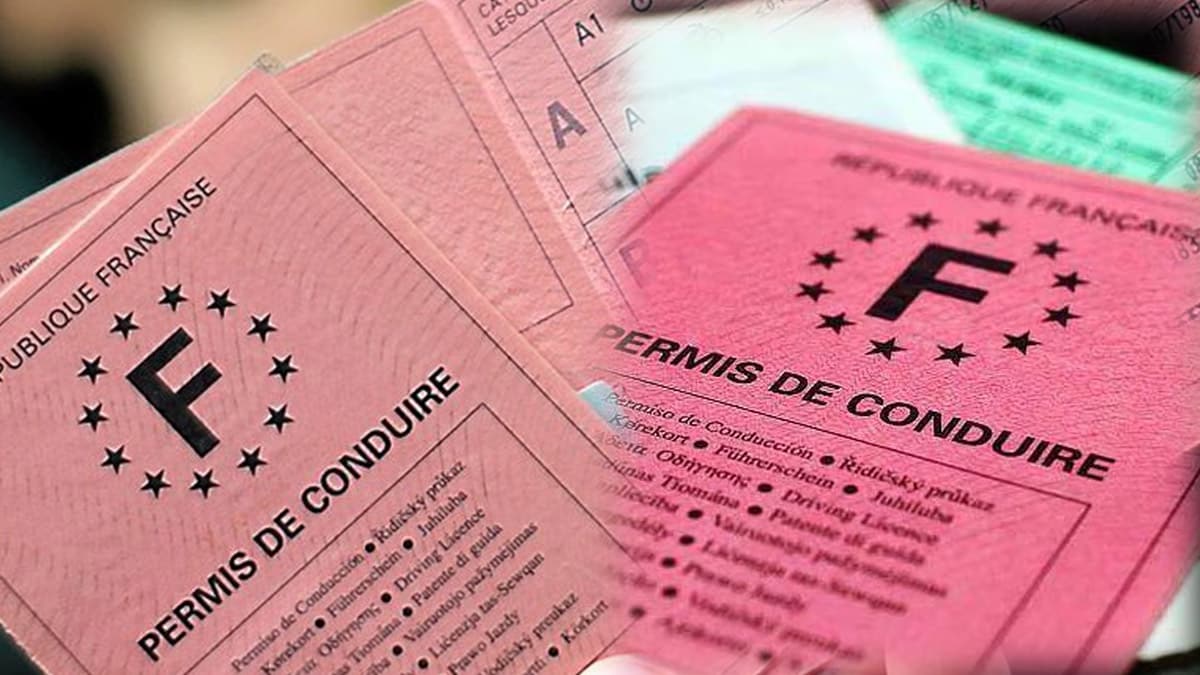 permis de conduire