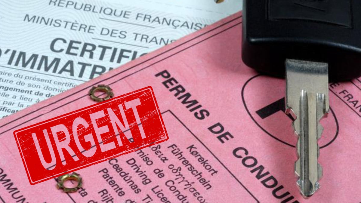 renouvellement permis de conduire