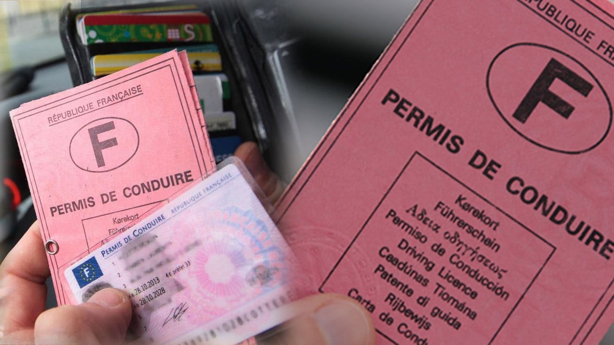 permis de conduire