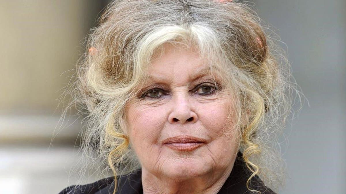 Brigitte Bardot Delon