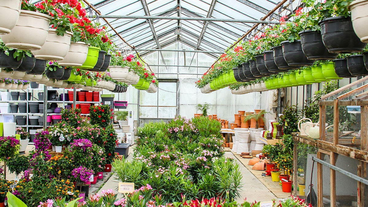 jardinerie